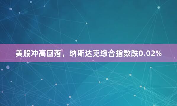 美股冲高回落，纳斯达克综合指数跌0.02%