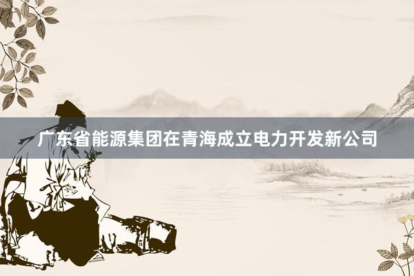 广东省能源集团在青海成立电力开发新公司