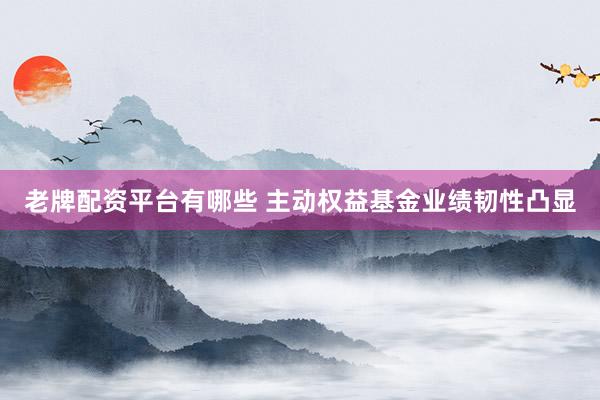 老牌配资平台有哪些 主动权益基金业绩韧性凸显
