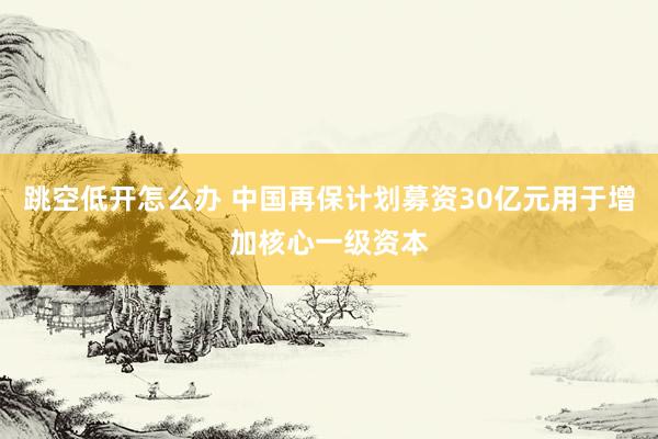 跳空低开怎么办 中国再保计划募资30亿元用于增加核心一级资本