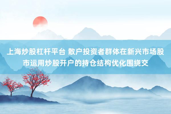 上海炒股杠杆平台 散户投资者群体在新兴市场股市运用炒股开户的持仓结构优化围绕交