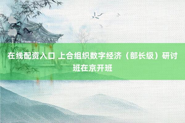 在线配资入口 上合组织数字经济（部长级）研讨班在京开班